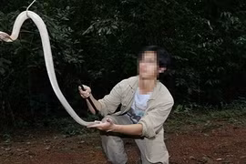 Đừng biến 'thú cưng' thành hiểm họa