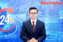 Gia Lai 24h: Cần quản lý chặt nguồn gốc giống cà phê