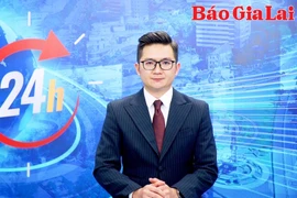 Gia Lai 24h: Cần quản lý chặt nguồn gốc giống cà phê