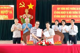 Đấu tranh kiên quyết với các luận điệu sai trái, thù địch về sáp nhập, tinh gọn bộ máy