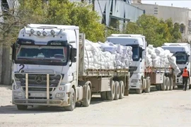 22 quốc gia yêu cầu Israel ngay lập tức nối lại hoàn toàn viện trợ vào Dải Gaza 