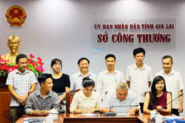 Kết nối cung cầu hàng hóa Gia Lai-Ninh Bình: Mở rộng thị trường, tạo dựng chuỗi liên kết bền vững