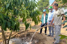 Nhờ mạnh dạn chuyển đổi cây trồng, cuộc sống gia đình ông Siu Nhin (bìa phải, làng Doch 2, xã Ia Kreng, huyện Chư Păh) ngày càng cải thiện. Ảnh: Đ.Y