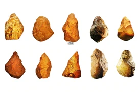 Xây dựng hồ sơ đề nghị UNESCO công nhận Quần thể khảo cổ Rộc Tưng - Gò Đá, đá cũ An Khê là Di sản thế giới