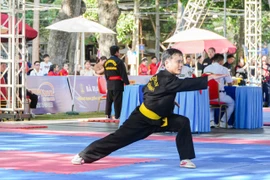 Đoàn đất Võ tham dự 9 VĐV