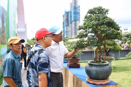 Hội tụ nhiều tác phẩm độc đáo tại Liên hoan triển lãm sinh vật cảnh tỉnh Gia Lai mở rộng lần thứ I-2025. 