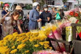 Người dân đang tất bật chọn bình hoa đẹp để trang trí ngày Tết. Ảnh: D.L