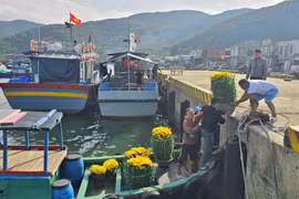 Nhộn nhịp những chuyến đò chở Tết ra đảo. 