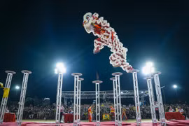 Để biểu diễn Mai hoa thung, nhiều đoàn lân đã phải đầu tư và tập luyện trong thời gian dài. 