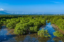 Đại sứ quán Pháp tại Việt Nam tài trợ tổ chức khóa học nhiếp ảnh tại khu vực đầm Thị Nại, dành cho tối đa 12 nhiếp ảnh gia Việt Nam