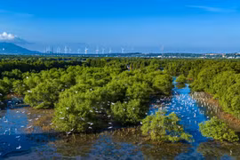 Đại sứ quán Pháp tại Việt Nam tài trợ tổ chức khóa học nhiếp ảnh tại khu vực đầm Thị Nại, dành cho tối đa 12 nhiếp ảnh gia Việt Nam