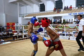 Gia Lai đăng cai tổ chức 5 giải thể thao cấp khu vực và quốc gia trong tháng 8