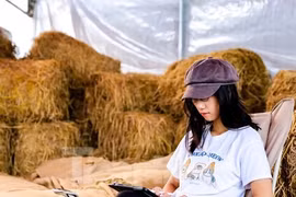 Độc đáo quán cà phê cho khách ngồi cạnh đống rơm