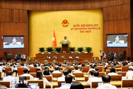 Thông cáo báo chí số 3, Kỳ họp không thường lệ thứ Nhất, Quốc hội khóa XVI
