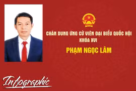 Chân dung ứng cử viên đại biểu Quốc hội khóa XVI Phạm Ngọc Lâm