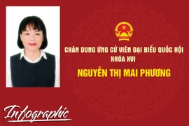 Chân dung ứng cử viên đại biểu Quốc hội khóa XVI Nguyễn Thị Mai Phương
