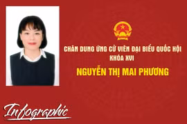 Chân dung ứng cử viên đại biểu Quốc hội khóa XVI Nguyễn Thị Mai Phương