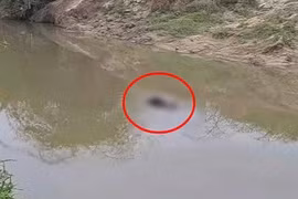 Sau 4 ngày gia đình trình báo mất tích, thi thể nam thanh niên được phát hiện trôi trên sông