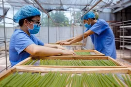 Bước vào cuộc chơi mới