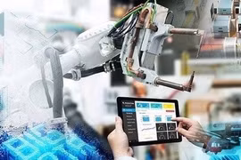 Năng lực thích ứng