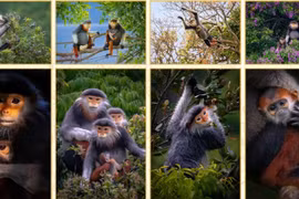 Giải thưởng Nhiếp ảnh Heritage - Hành trình di sản 2025 khởi động từ ngày 1/4