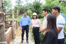 Điểm tựa giúp hội viên nông dân phát triển sản xuất