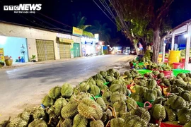 Mất mùa, mất giá, nông dân trồng sầu riêng loay hoay tìm nguồn gốc cadimi