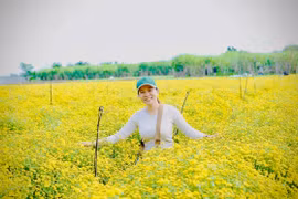 Chị Nguyễn Thị Thu Trang bên vùng nguyên liệu trồng hoa cúc chi hữu cơ. Ảnh: T.D