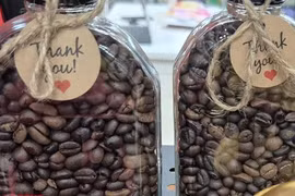 Giá cà phê hôm nay 6-5: Giảm bất ngờ, nông dân lo 'cú rơi' năm ngoái