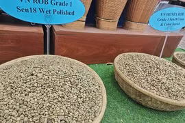 Giá cà phê hôm nay 12-3: Tăng dữ dội