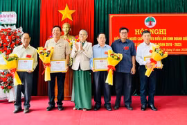 Ban Đại diện Hội Người cao tuổi tỉnh trao giấy chứng nhận cho người cao tuổi làm kinh tế giỏi cấp tỉnh giai đoạn 2018-2023.