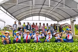 Tây Sơn sẵn sàng đón khách du lịch