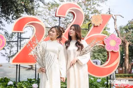 2 phương án nghỉ Tết Nguyên đán 2027