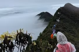 Trạm Tấu 'thay da đổi thịt' nhờ du lịch