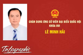 Chân dung ứng cử viên đại biểu Quốc hội khóa XVI Lê Minh Hải