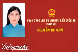Chân dung ứng cử viên đại biểu Quốc hội khóa XVI Nguyễn Thị Cẩm