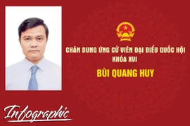 Chân dung ứng cử viên đại biểu Quốc hội khóa XVI Bùi Quang Huy