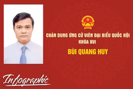 Chân dung ứng cử viên đại biểu Quốc hội khóa XVI Bùi Quang Huy
