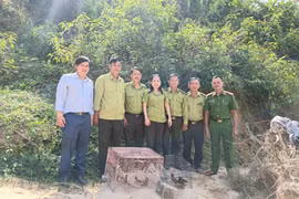 Siết chặt quản lý, bảo vệ động vật hoang dã 