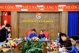 Tuổi trẻ Tây Nguyên trồng hơn 2,3 triệu cây xanh một năm