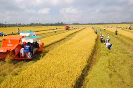 Thống nhất trình Quốc hội tiếp tục miễn thuế sử dụng đất nông nghiệp đến hết năm 2030