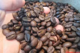 Giá cà phê hôm nay 27-5: Thị trường đóng băng