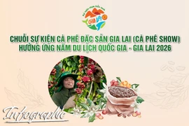 Chuỗi sự kiện cà phê đặc sản Gia Lai (Cà phê Show) 