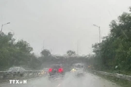 Thời tiết 10 ngày tới: Các tỉnh Bắc Bộ sắp đón đợt mưa lớn
