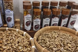 Giá cà phê hôm nay 2-5: Nhà đầu tư đứng ngồi không yên