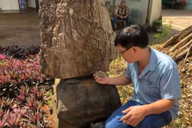 Tác giả bên khối đá có nguồn gốc từ phế tích Chăm An Phú tại nhà thờ Phú Thọ. Ảnh: X.H