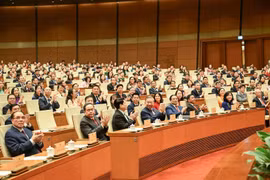 Niềm tin và kỳ vọng