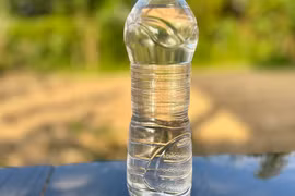 Nắng nóng, uống bao nhiêu nước là đủ?