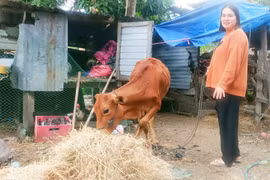 Chị Siu H’Jeo (buôn Rưng Ma Nin, xã Ia Rbol) vui mừng được CLB trao bò sinh sản để chăn nuôi nhằm cải thiện thu nhập. Ảnh: K.H
