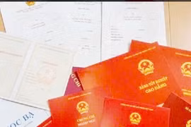 15 giáo viên ở Bắc Giang mua bằng cao đẳng và đại học giả để thi tuyển